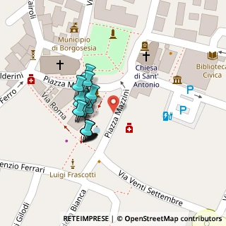 Mappa Piazza Martiri 10 primo piano Condominio Giardino, 13011 Borgosesia VC, Italia (0)