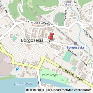 Mappa Via Geometra Sesone, 36, 13011 Borgosesia, Vercelli (Piemonte)