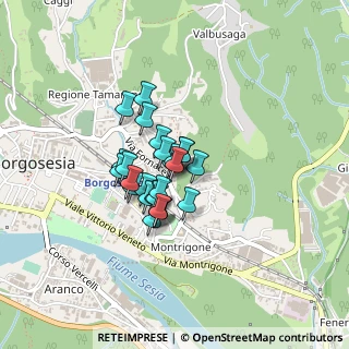 Mappa Via Privata Gronda, 13011 Borgosesia VC, Italia (0.24231)