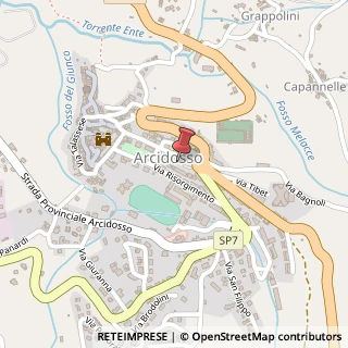 Mappa Piazza indipendenza 23, 58031 Arcidosso, Grosseto (Toscana)