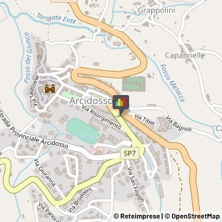 Amministrazioni Immobiliari Arcidosso,58031Grosseto