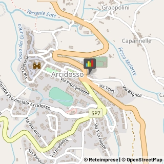 Amministrazioni Immobiliari Arcidosso,58031Grosseto