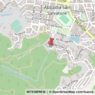 Mappa Via del Laghetto, 15, 53021 Abbadia San Salvatore, Siena (Toscana)