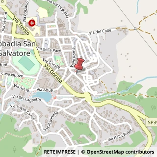 Mappa Via Giacomo Matteotti, 19, 53021 Piancastagnaio, Siena (Toscana)