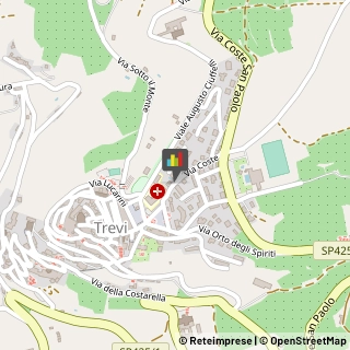 Aziende Agricole Trevi,06039Perugia