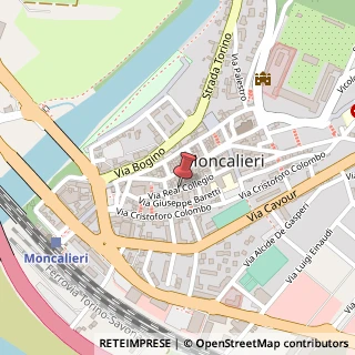 Mappa Via Real Collegio, 15/A, 10024 Moncalieri, Torino (Piemonte)
