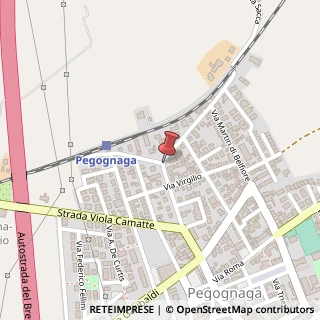 Mappa Via Guglielmo Marconi, 17, 46020 Pegognaga, Mantova (Lombardia)