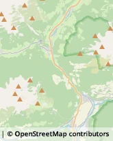 Aziende Agricole Selva dei Molini,39032Bolzano