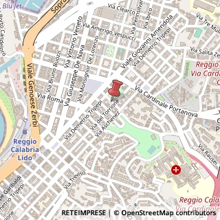 Mappa Via Cardinale Tripepi,  22, 89123 Reggio di Calabria, Reggio di Calabria (Calabria)
