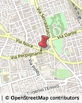 Via Perpignano, 9,90121Palermo