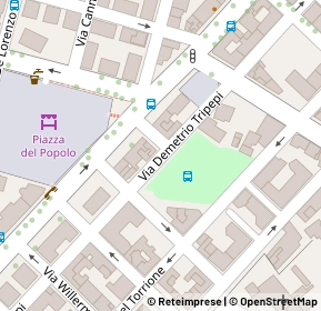 Mappa Via tripepi, 89123 Reggio Di Calabria RC, Italia (0.07308)
