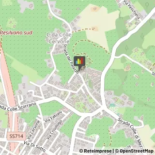 Pubblicità - Consulenza e Servizi,65125Pescara