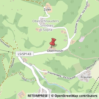 Mappa Frazione Snodres,  26, 39040 Velturno, Bolzano (Trentino-Alto Adige)