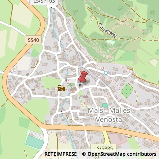 Mappa Via dell'Ospedale, 2, 39024 Malles Venosta, Bolzano (Trentino-Alto Adige)