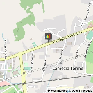 Animali Domestici - Vendita Lamezia Terme,88046Catanzaro