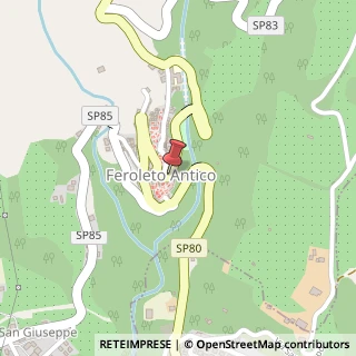 Mappa Viale Santuario DI Dipodi, 47, 88040 Feroleto Antico, Catanzaro (Calabria)
