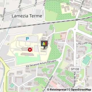 Aziende Sanitarie Locali (ASL) Lamezia Terme,88046Catanzaro