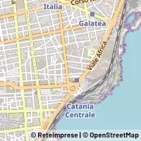 Peta Catania