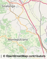 Autotrasporti Montepulciano,53045Siena