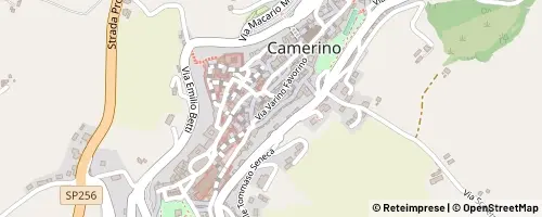 Mappa Camerino