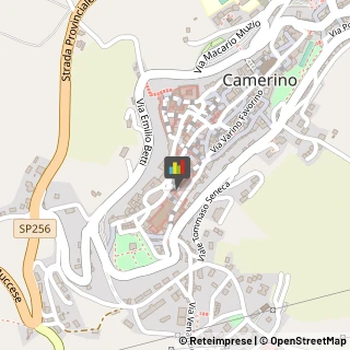 Articoli per Ortopedia Camerino,62032Macerata