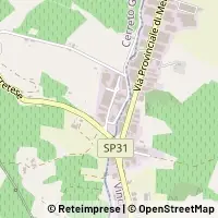 Map Cerreto Guidi