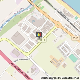 Reumatologia - Medici Specialisti Senigallia,60019Ancona