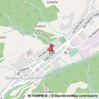 Mappa Viale Italia 23, 23, 52018 Castel San Niccolò, Arezzo (Toscana)