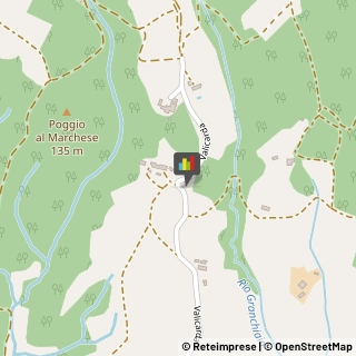 Centri di Benessere Capraia e Limite,50052Firenze