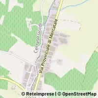 Map Vinci