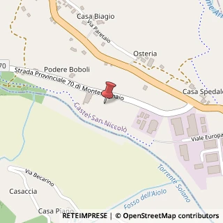 Mappa Via Borgo Case Sparse, 9/B, 52018 Castel San Niccolò, Arezzo (Toscana)