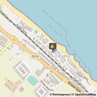 Massaggi Senigallia,60019Ancona