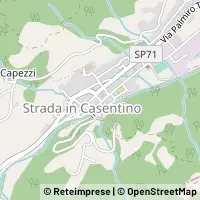 Map Castel San Niccolò