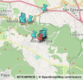Mappa Via Roma, 00079 Rocca Priora RM, Italia (0.9265)