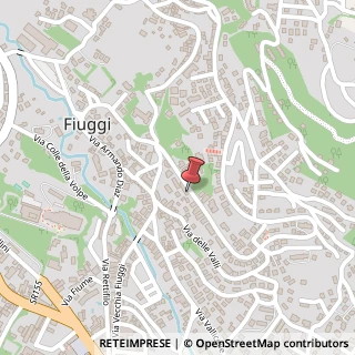 Mappa Via Armando Diaz, 243, 03014 Fiuggi, Frosinone (Lazio)