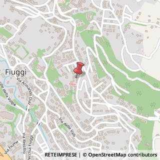 Mappa Via Armando Diaz, 217, 03014 Fiuggi, Frosinone (Lazio)