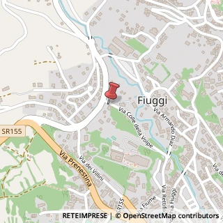 Mappa Via Colle della Volpe, 15, 03014 Fiuggi, Frosinone (Lazio)