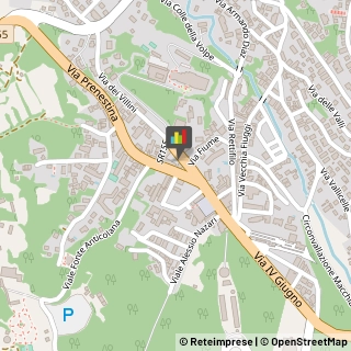 Dermatologia - Medici Specialisti Fiuggi,03014Frosinone