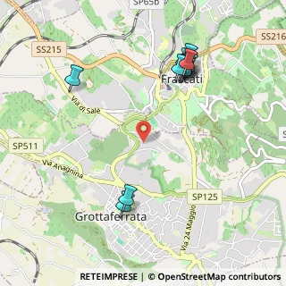 Mappa Via Selva Rustica, 00046 Grottaferrata RM, Italia (1.20455)