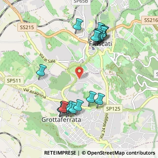 Mappa Via Selva Rustica, 00046 Grottaferrata RM, Italia (1.144)