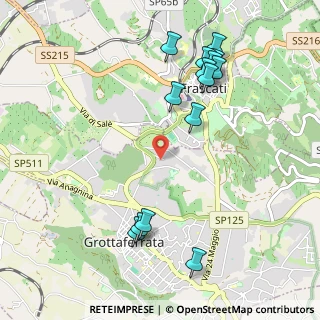 Mappa Via Selva Rustica, 00046 Grottaferrata RM, Italia (1.21929)