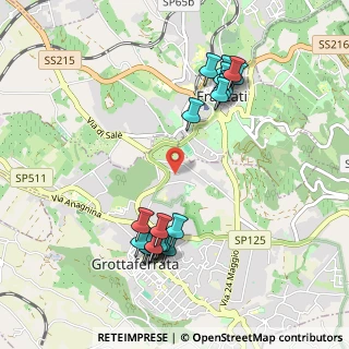 Mappa Via Selva Rustica, 00046 Grottaferrata RM, Italia (1.122)