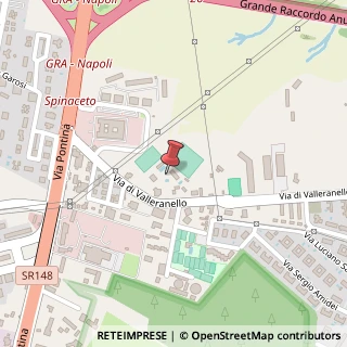 Mappa Via di Valleranello, 67, 00128 Roma, Roma (Lazio)