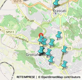 Mappa V.le Giovanni Dusmet, 00046 Grottaferrata RM, Italia (1.005)