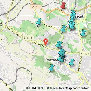 Mappa Grottaferrata, 00046 Grottaferrata RM, Italia (1.3185)