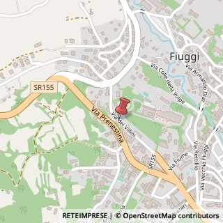 Mappa Via dei Villini, 56/BIS, 03014 Fiuggi, Frosinone (Lazio)