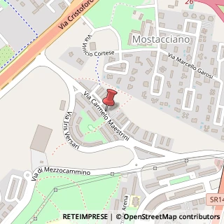 Mappa Via Carmelo Maestrini, 348, 00128 Roma, Roma (Lazio)