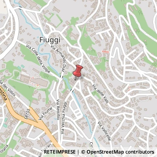 Mappa Via Vecchia Fiuggi,  366, 03014 Fiuggi, Frosinone (Lazio)