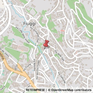 Mappa Via Vecchia Fiuggi, 370, 03014 Fiuggi, Frosinone (Lazio)