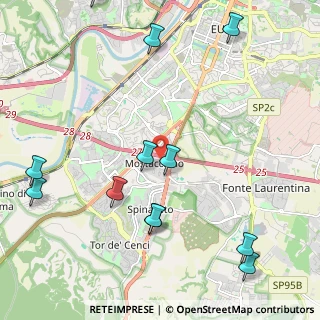 Mappa Via Paolo Braccini, 00128 Roma RM, Italia (2.8875)
